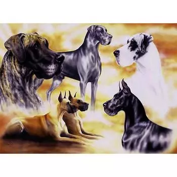 5D DIY алмазная живопись животное милая собака Алмазная вышивка полный набор мозаики вышивка крестом домашний декор подарки ручной работы Round 20x30cm