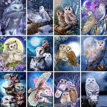 5D DIY алмазная живопись животное полная алмазная вышивка горный хрусталь кошка Орел домашний декор подарок мозаика художественная картина набор для вышивки крестом Full Round 20x30CM