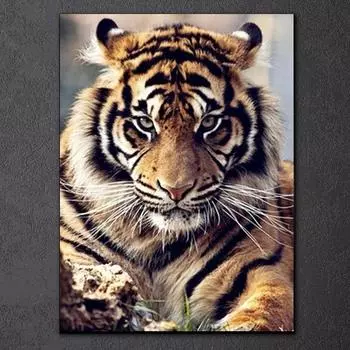 5D DIY алмазная живопись животное вышивка крестиком ремесло полная круглая дрель собака кошка тигр Алмазная вышивка распродажа домашний декор подарок 15x20CM