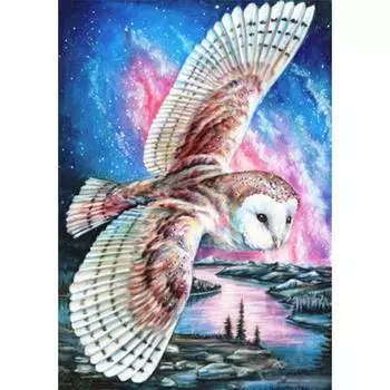 5D DIY алмазная живопись животных серии Сова горный хрусталь картина полная Алмазная вышивка подарок мозаика набор для вышивки крестом украшения Full Round 20x30CM