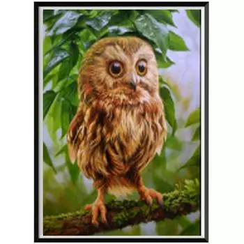 5D Diy Алмазное изготовление фотографий животных Алмазная вышивка Имитация Набор для вышивки крестом Подарки ручной работы Украшения дома Подарки 20x25cm