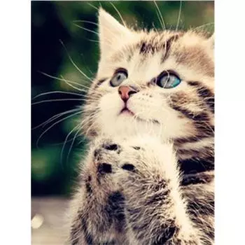 5D DIY Алмазные картины Полный дрель Круглый любовник Кошка Мозаика Искусство Вышивка Животные Узор Ручная работа 20X30CM
