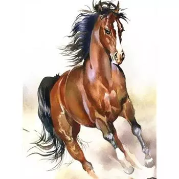 5D DIY Алмазная картина по номерам Алмазное искусство Лошадь Животное Кристалл Мозаика Краска Рождественский подарок 20X30CM