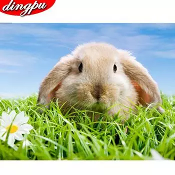 5D DIY Алмазная картина животное полный квадрат и круг алмазная вышивка мозаика хобби и ремесла 20X30CM