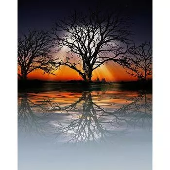 5D DIY Бриллиант живопись Жизнь в невзгодах Алмазная вышивка Полная мозаика Наборы для вышивки крестиком Домашний декор Подарки ручной работы Round 20x30cm