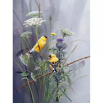 5D DIY Алмазная картина Цветок Птица 3D Вышивка Животных Вышивка Крестом Стразы Мозаика Декор 20X30CM