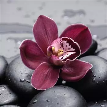 5D DIY Алмазная картина Цветок Роза Вышивка крестом Картина Стразы Декор Подарок Вышивка 30X30CM