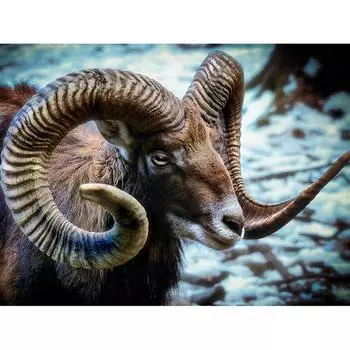 5D DIY Алмазная картина Антилопа Алмазная вышивка Мозаика Вышивка крестом Стразы Декор 20X30CM