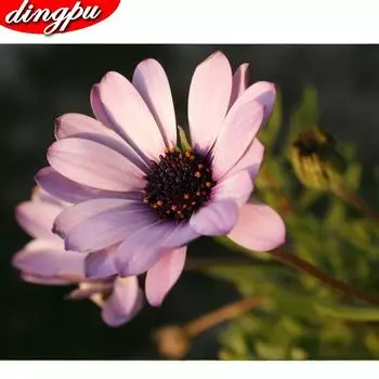 5D DIY Алмазная картина Пейзаж Полный круглый дом Алмазная вышивка Пейзаж Вышивка крестом Алмазная мозаика Стразы 20X30CM