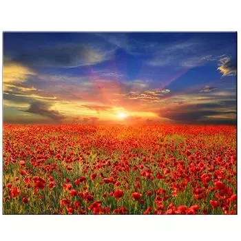 5D DIY Алмазная картина Полная Алмазная вышивка крестом 20X30CM