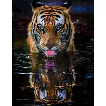 5D Diy Алмазная Картина Полная Круглая Мозаика Украшения Для Дома Вышивка Ручной Работы Подарок 20X30CM