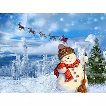 5d DIY Алмазная картина Рождественский снеговик Пейзаж Алмазная картина Вышивка крестом 20X30CM