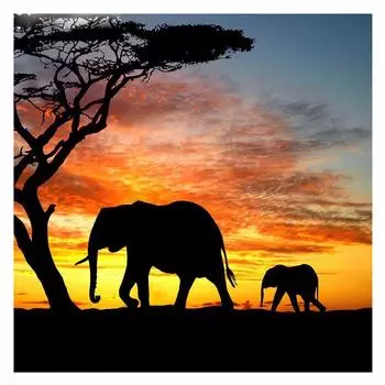 5D DIY Алмазная картина Слон Живописный 5D Алмазная вышивка крестом Мать Сын Закат Домашний декор 30X30CM