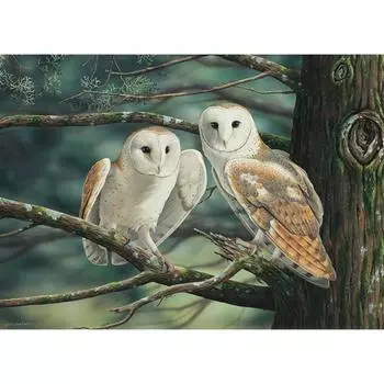 5D DIY Алмазная картина Сова Пара Вышивка Мозаика Вышивка крестом Горный хрусталь Украшение 20X30CM