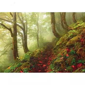 5D DIY Алмазная картина Туманный лес Вышивка Мозаика Вышивка крестом Декор Стразы 20X30CM