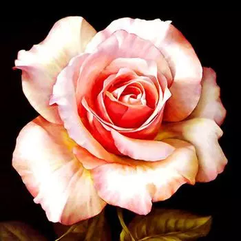 5d Diy Broderies Diamants Подарок «Красочный подсолнух» Алмазная мозаика Картина Полная алмазная вышивка 30x30