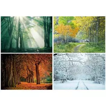 5D DIY четыре сезона пейзаж алмазная живопись картина полная алмазная вышивка мозаика художественная картина вышивка крестиком украшение подарок Full Round 20x30CM