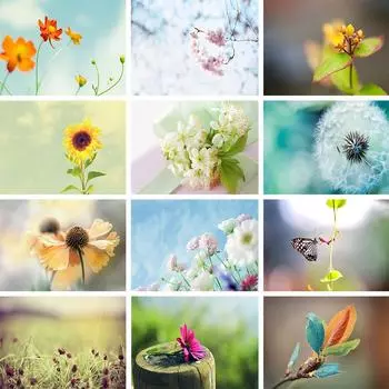 5D DIY Цветы Алмазная Картина Стразы Пейзаж Картина Полная Алмазная Вышивка Мозаика Домашний Декор Подарочный Набор Для Вышивки Крестом Full Round 20x30CM