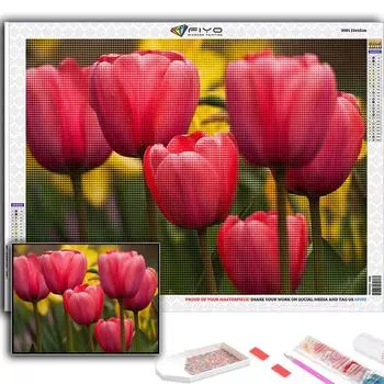 5D DIY цветы тюльпаны вышивка крестиком стразы Алмазный рисунок вышивка мозаика домашний декор Full Round 20X30CM