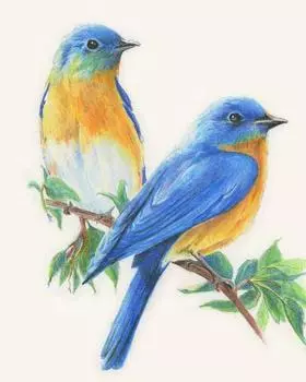 5d Diy Diamant Bird Мультфильм Мозаика Подарок Алмазная вышивка Broderies Алмазная картина 20X30