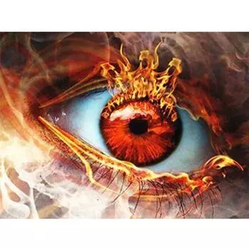 5D Diy Diamond Painting Eye 3D Алмазная мозаика Картина Rhinestone Diamant Вышивка ремесла 20X30CM