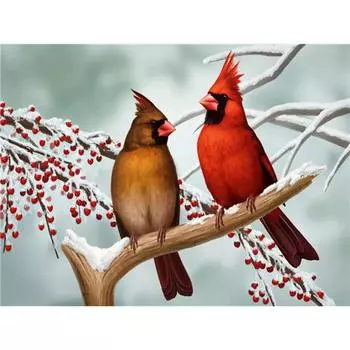 5D DIY комплект алмазной живописи Рождественский кот полная квадратная дрель Алмазная вышивка животное мозаика рукоделие домашний декор Full Round (20X30CM)