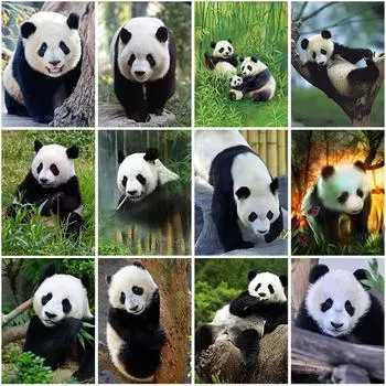 5D DIY круглая алмазная живопись Панда полная дрель мозаика животные Алмазная вышивка крестиком ручная работа украшение дома Full Round 20x30CM