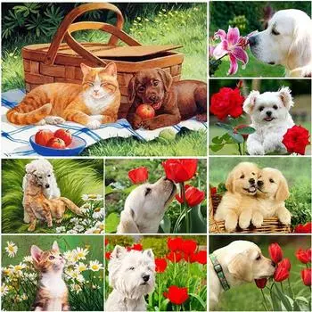 5D DIY Набор для алмазной живописи Цветы и собаки Искусство Алмазная вышивка Стразы Украшения для дома Round 20x30cm