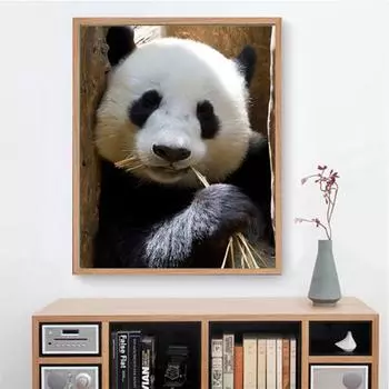 5D DIY Панды Полный Круглый Укроп Палка Дрель Картина Ремесло Набор Вышивка Крестом Ремесла Домашние Декоративные