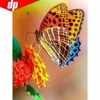 5D DIY Полная круглая Алмазная вышивка Полный дисплей Бабочка и цветок Алмазная картина 20X30CM