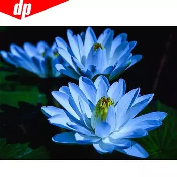 5D DIY Полный Круглый Алмазная Картина Цветок Рукоделие Мозаика Алмазная Вышивка Картина Горный Хрусталь 20X30CM