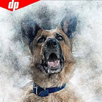 5D DIY Полный Круглый Алмазная Картина Животных Собака Вышивка Алмазная Мозаика Изображение 30x30