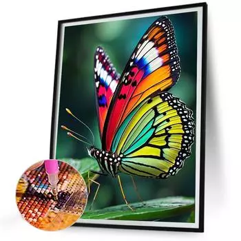 5D DIY Полный Круглый Дрель Алмазная Картина Бабочка Набор Домашний Декор Искусство 30x40см