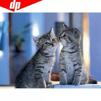 5D DIY Полный круглый Стразы Алмазная картина Кошка Горный хрусталь Мозаика Алмазная вышивка 20X30CM