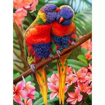 5D DIY Полный квадратный круглый алмазный рисунок Птица Алмазная вышивка Животное Вышивка крестом Стразы Искусство Full Round 20X30CM