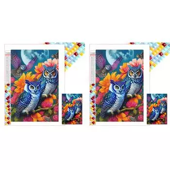 5D DIY Полный квадратный сверлильный алмазный набор для живописи Совы Домашний декор Искусство 45x65см