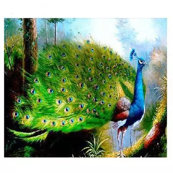 5D Diy птицы Алмазная картина Вышивка крестиком Павлин Наклейка на стену Мозаика Алмазная вышивка 20X30CM
