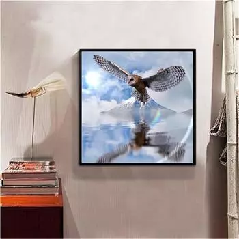 5D Diy Стразы Алмазная картина Вышивка Размышления Сова Животные Взрослые Настенные искусства 30x30CM