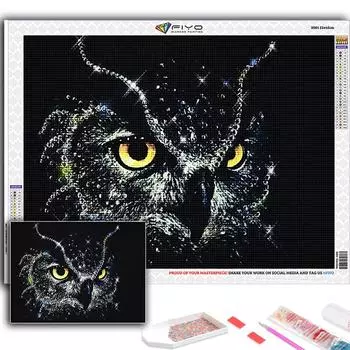 5D DIY животное Сова вышивка крестиком стразы Алмазный рисунок вышивка мозаика домашний декор Full Round 20X30CM