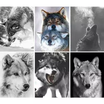 5D DIY животное волк алмазная живопись горный хрусталь художественная картина полная круглая Алмазная вышивка подарок мозаика комплект для украшения дома Full Round 20x30CM