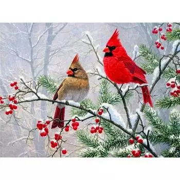 5d комплект алмазной живописи Рождественский мультфильм домашний декор полная квадратная дрель Алмазная вышивка зимний подарок ручной работы Full Round (20X30CM)