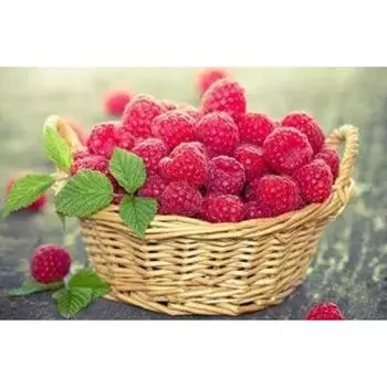 5D круглая алмазная живопись «сделай сам», наборы для вышивки крестом, мозаика, алмазная вышивка, пейзаж, животные, мозаичная живопись, домашний декор 20x15CM