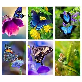 5D полная алмазная живопись Алмазная мозаика изображение горного хрусталя Алмазный цветок с бабочкой 20*30 cm