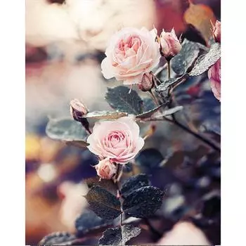 5D полная круглая алмазная картина розовая роза цветок вышивка алмазная картина горный хрусталь 20*30 cm