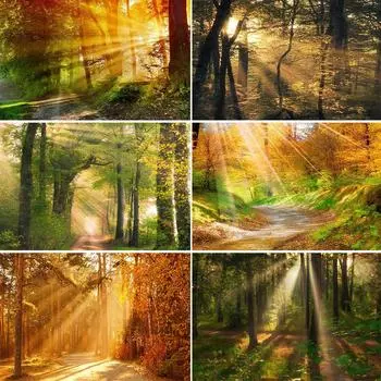 5D полный Круг/круг DIY алмазная картина пейзаж картина алмазная вышивка стразы мозаика вышивка крестом украшение для дома Full Round 20x30CM