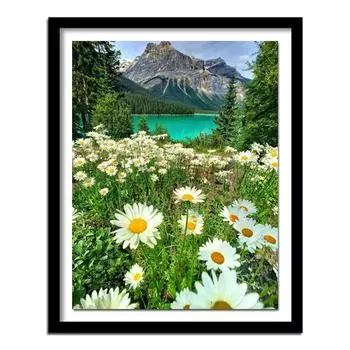 5D Природный пейзаж Алмазная вышивка Дейзи Алмазная картина Рукоделие Холст по номерам 20X30CM