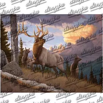 5D животное Алмазная вышивка DIY олени Алмазная картина вышивка крестом фото 20X30