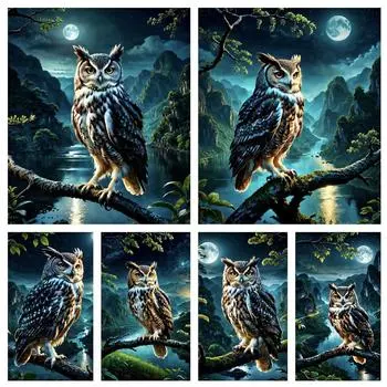 5DDIY Diamond Animal Night Cat Series Mosaic Вышивка крестом Вышивка Совы Набор для гостиной Художественное украшение Подарок Full Round 20x30CM