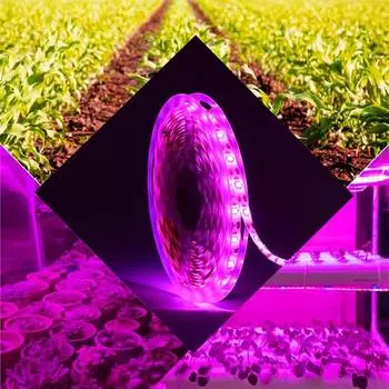 5M Светодиодная лампа для выращивания растений Полный спектр 5V USB Светодиодная лента для выращивания растений 2835 Светодиодные фитолампы для растений Теплица Гидропонная лампа для выращивания 1M
