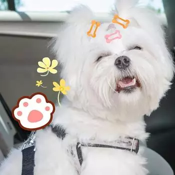 5PCS 2.5cm Bone Bb Clip Pet Hair Accessories Candy Color Dog Cat Hair Clip Mini Rainbow Hair Clip Random Color